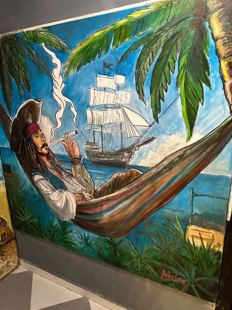 pic (17)